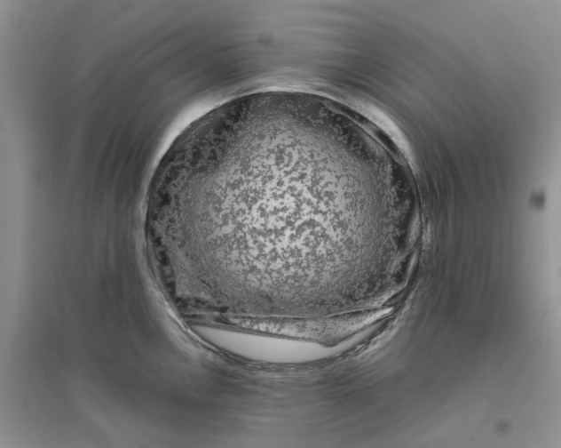 X0000096401146200802071555