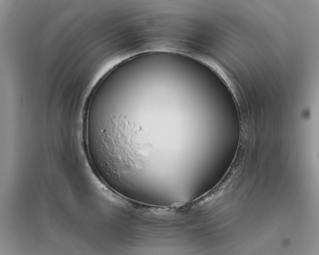 X0000096401147200802071555