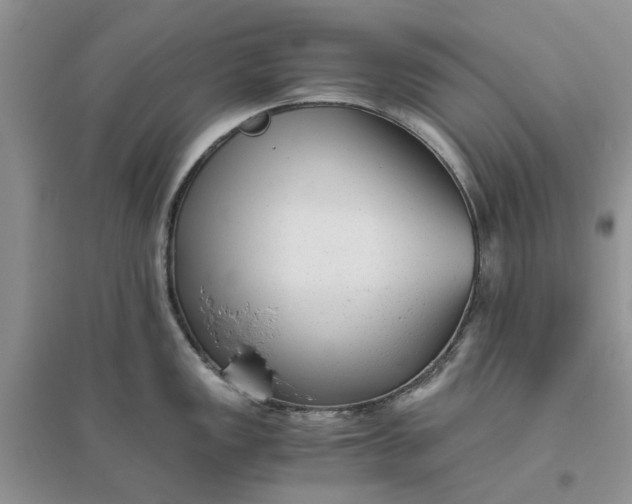 X0000096401149200802071555