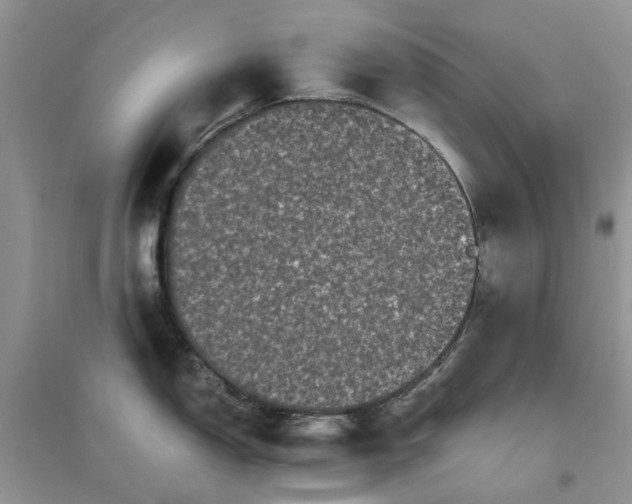 X0000096401150200802071555