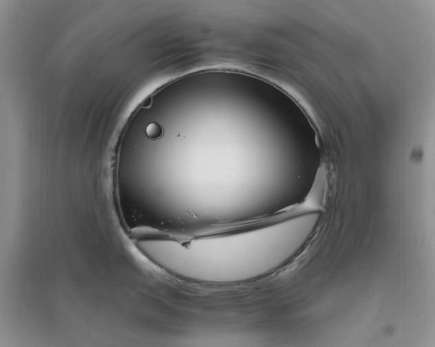 X0000096401151200802071555