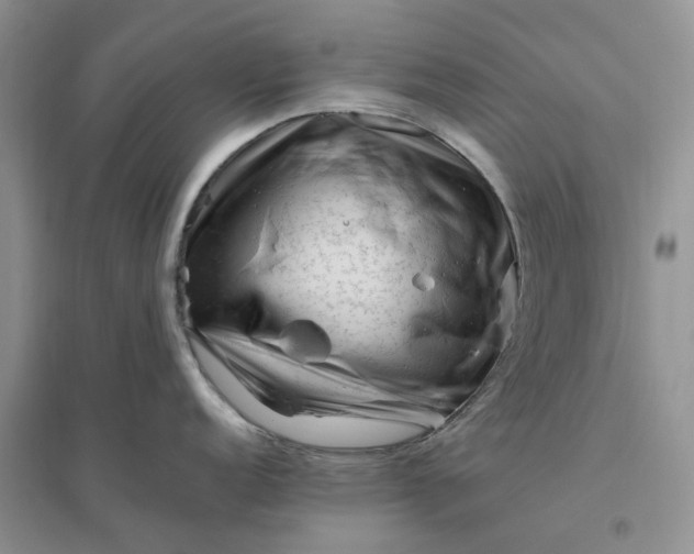 X0000096401152200802071555