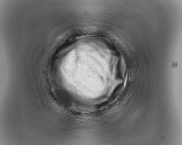 X0000096401153200802071554