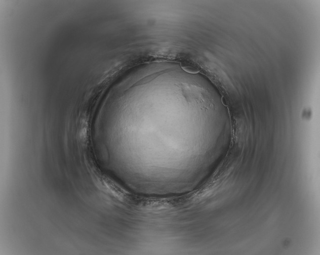 X0000096401154200802071554