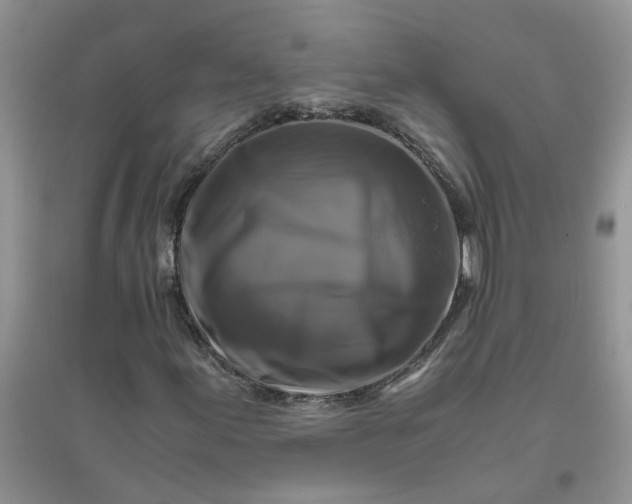 X0000096401155200802071554