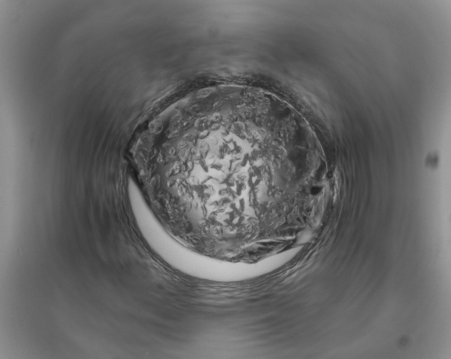 X0000096401156200802071554