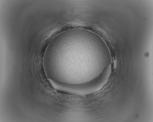 X0000096401157200802071554