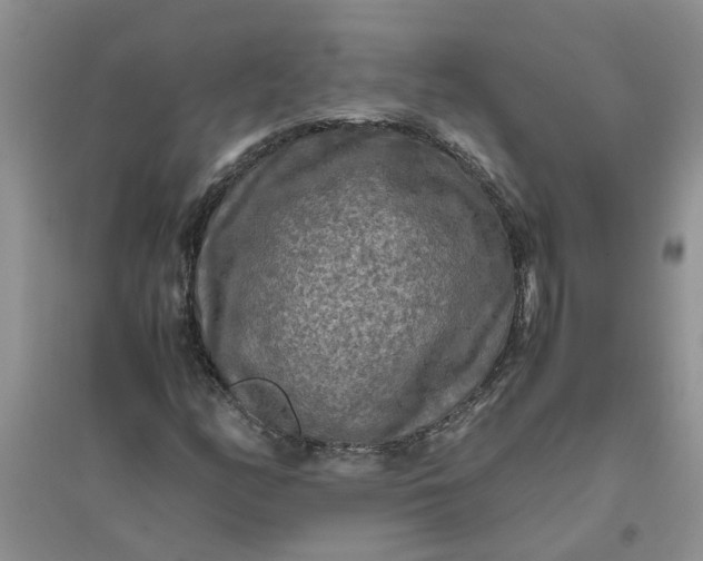 X0000096401158200802071554