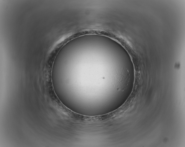 X0000096401159200802071554