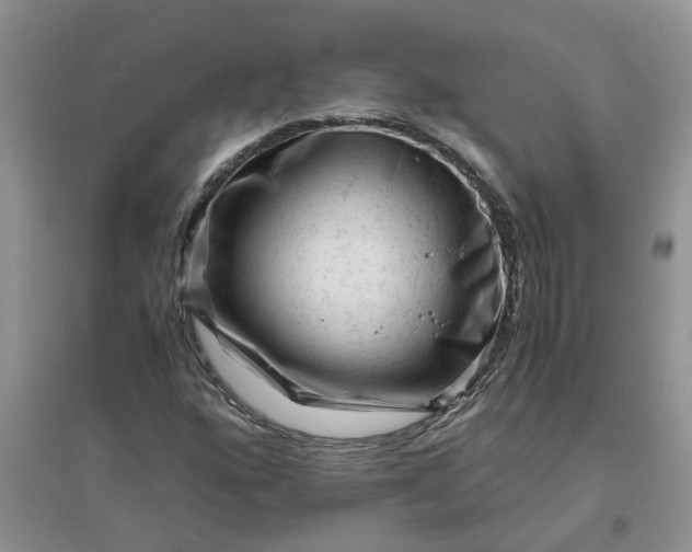 X0000096401160200802071554