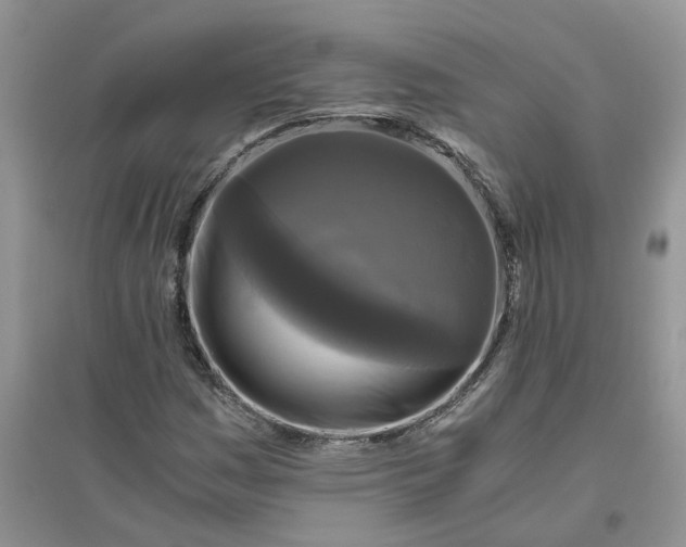 X0000096401161200802071554