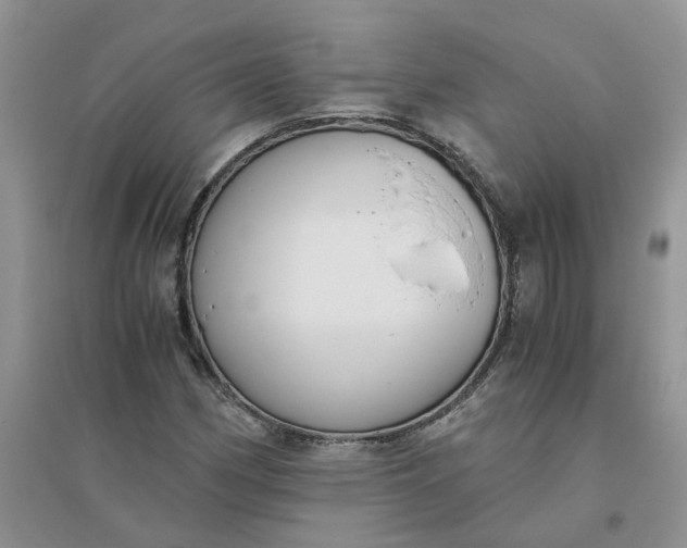 X0000096401162200802071554