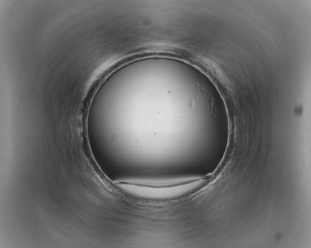 X0000096401164200802071554