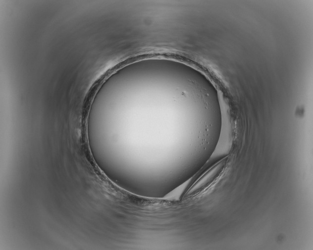 X0000096401165200802071554