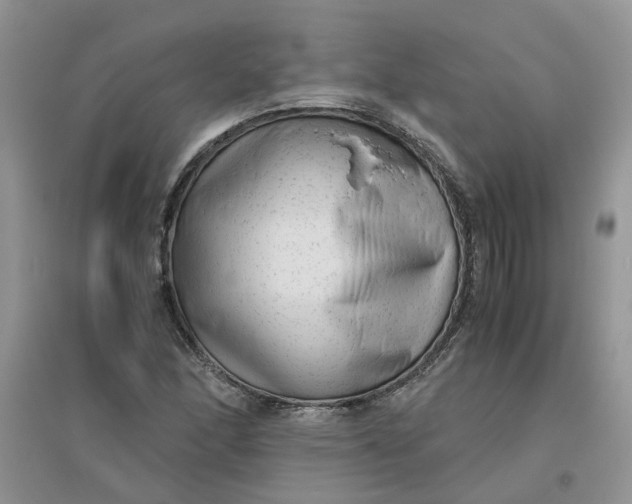 X0000096401166200802071554