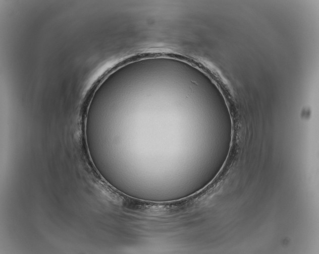 X0000096401167200802071554