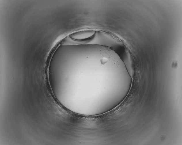 X0000096401168200802071554