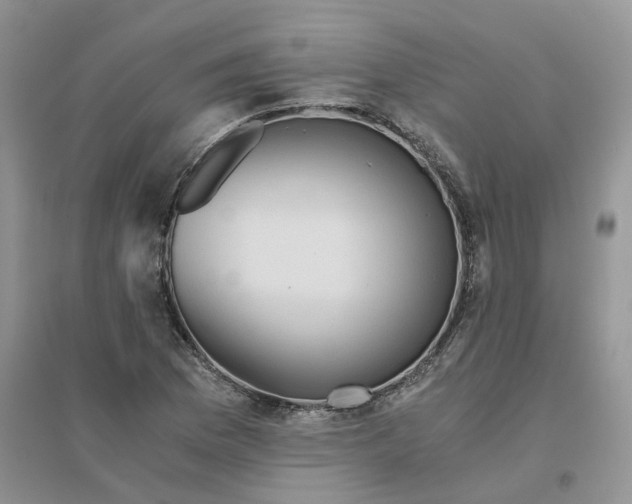 X0000096401169200802071554