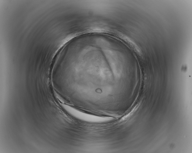 X0000096401170200802071554