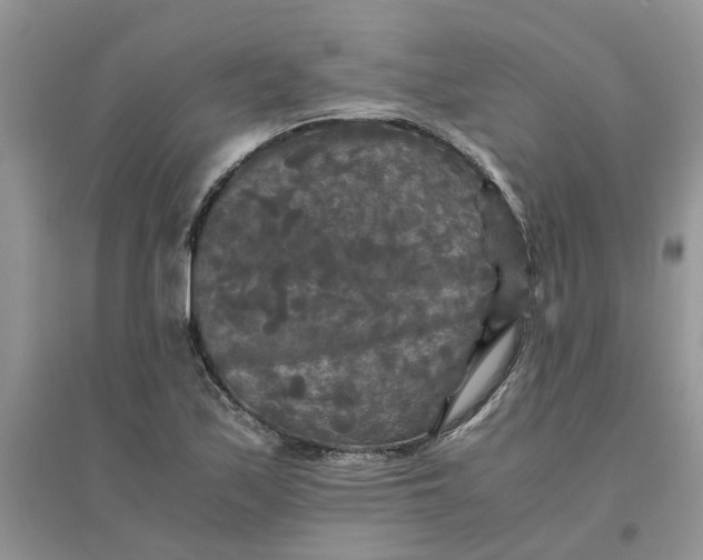 X0000096401171200802071554