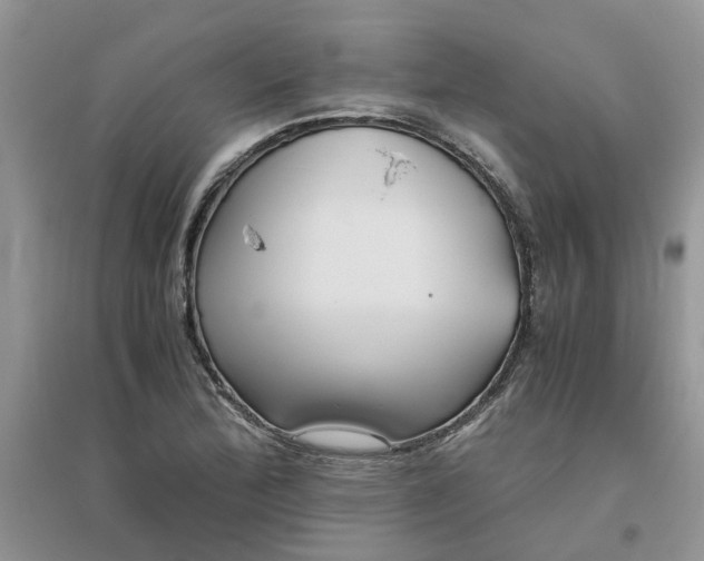 X0000096401172200802071554