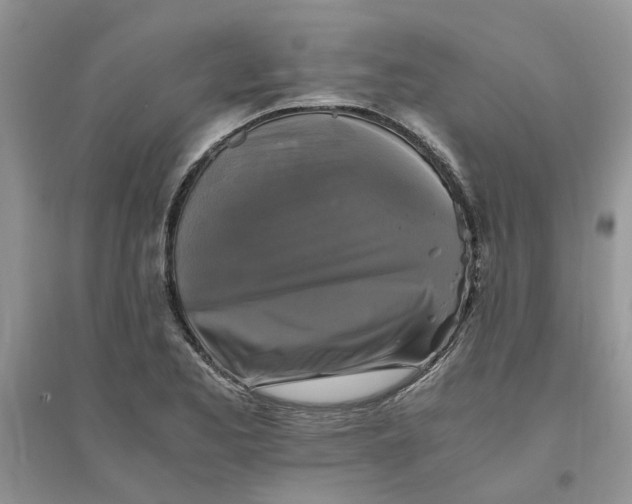 X0000096401173200802071554