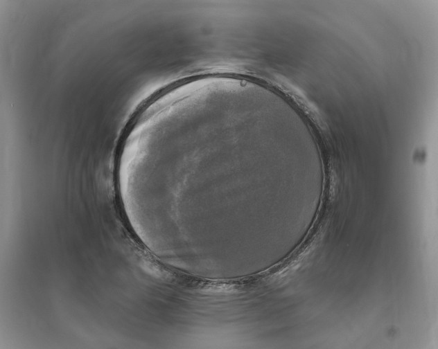 X0000096401174200802071554