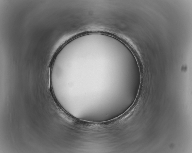 X0000096401175200802071554