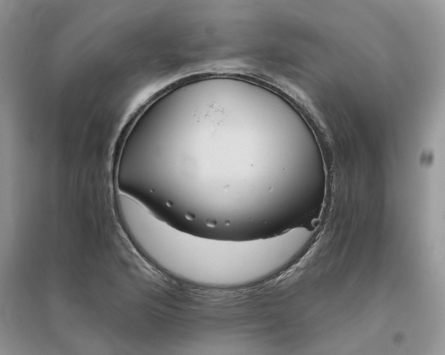 X0000096401176200802071554