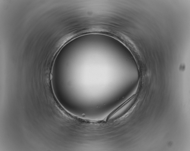 X0000096401177200802071554