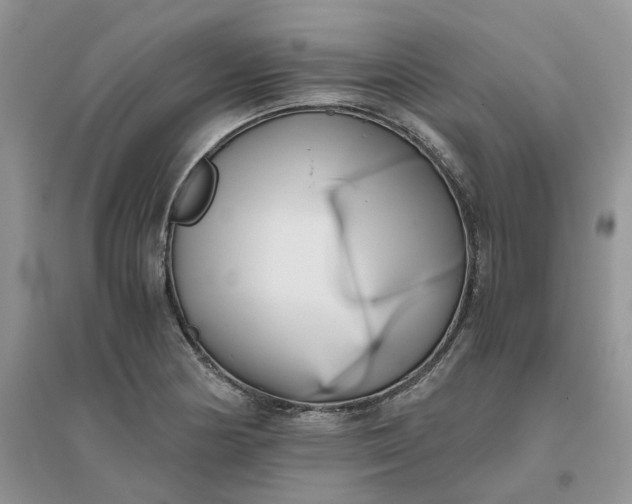 X0000096401178200802071554