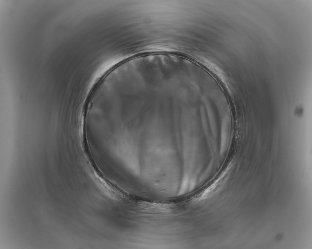 X0000096401179200802071554