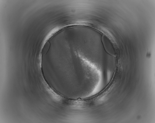 X0000096401180200802071554