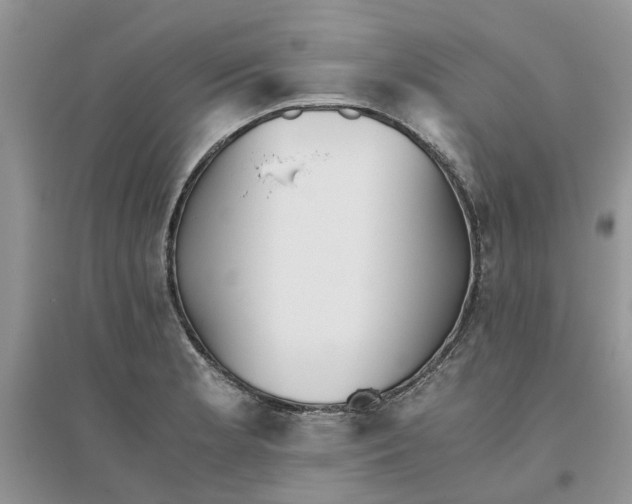 X0000096401181200802071554