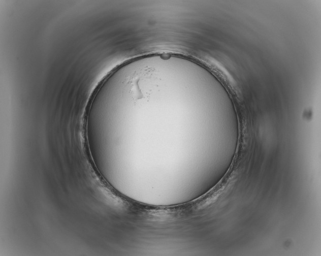 X0000096401182200802071554