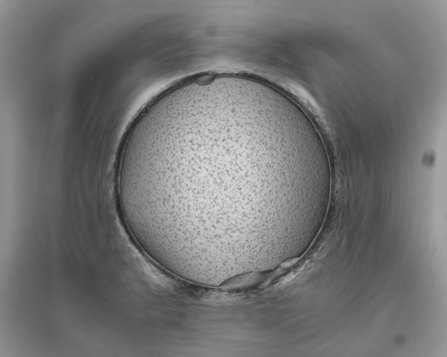 X0000096401183200802071554