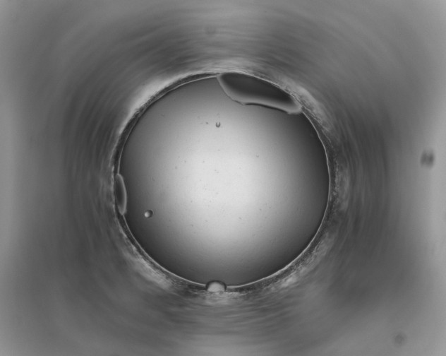 X0000096401184200802071554