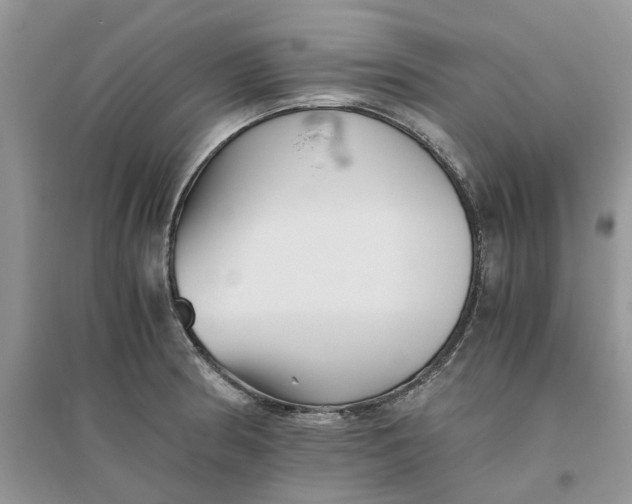 X0000096401186200802071554