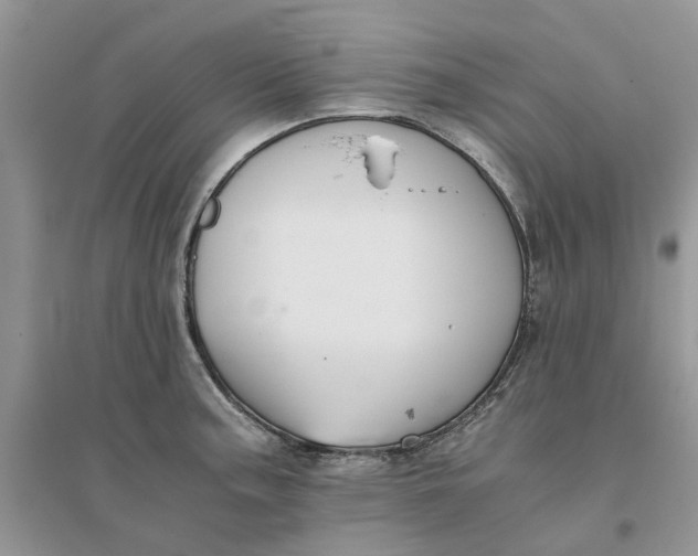 X0000096401187200802071554