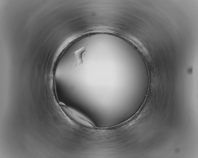 X0000096401188200802071554