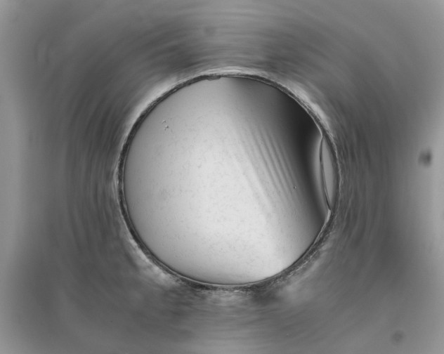 X0000096401189200802071554