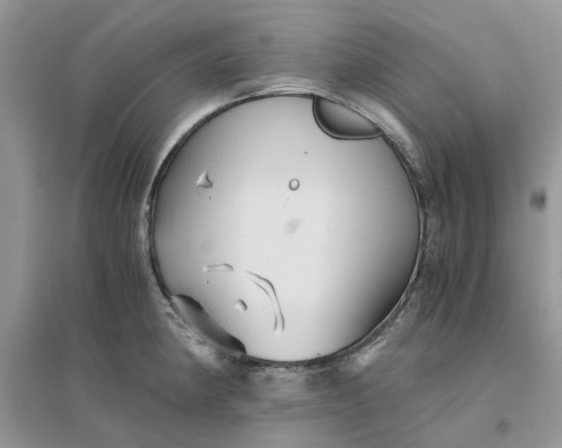 X0000096401190200802071554