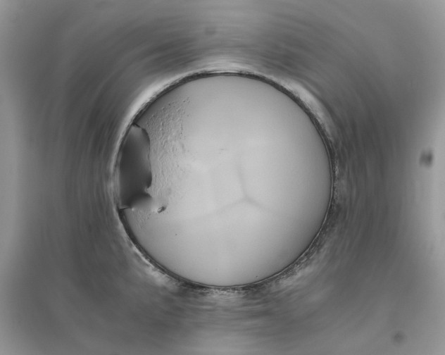 X0000096401191200802071554