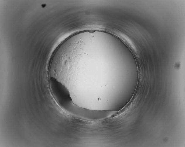 X0000096401192200802071554