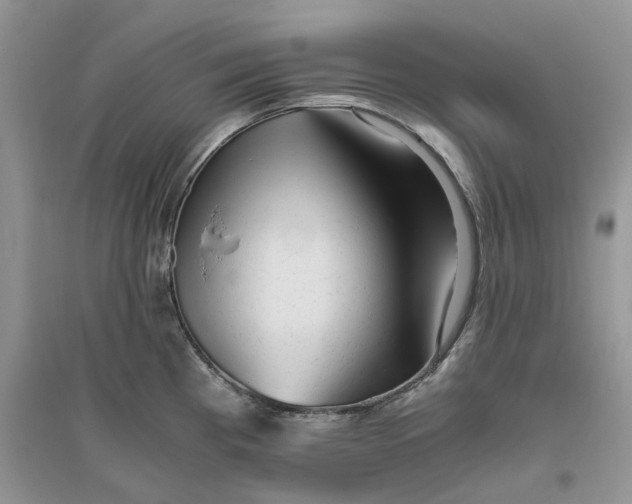 X0000096401193200802071554