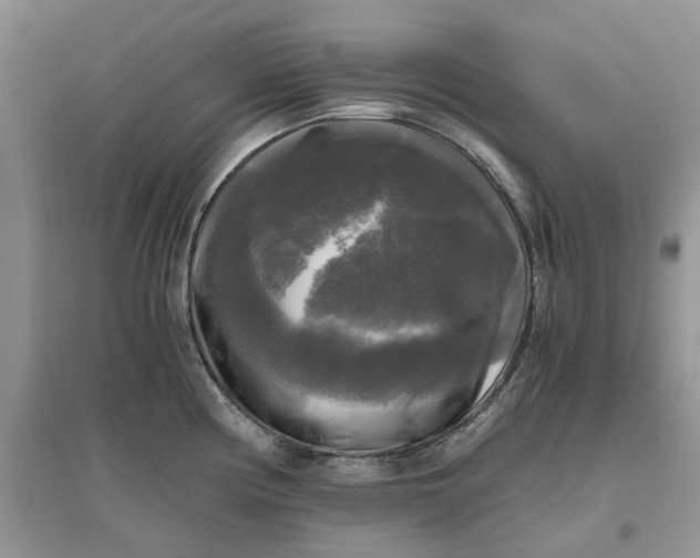 X0000096401194200802071554