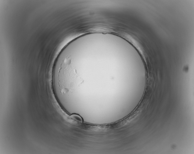 X0000096401195200802071554