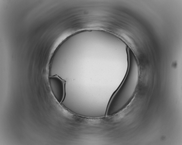 X0000096401196200802071554