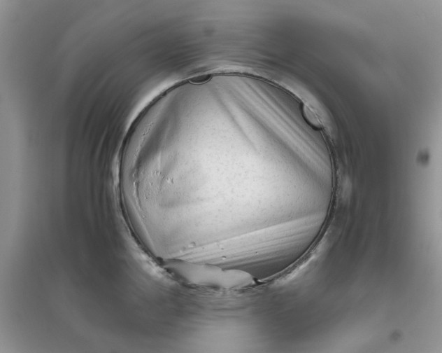 X0000096401198200802071554