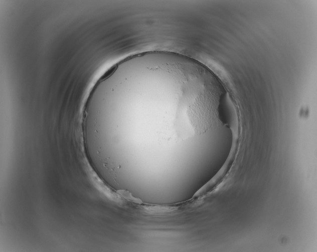 X0000096401200200802071553